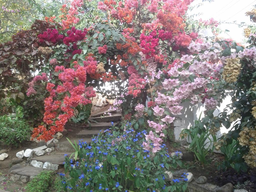 Jheelam Homestay Bhopal Exteriör bild