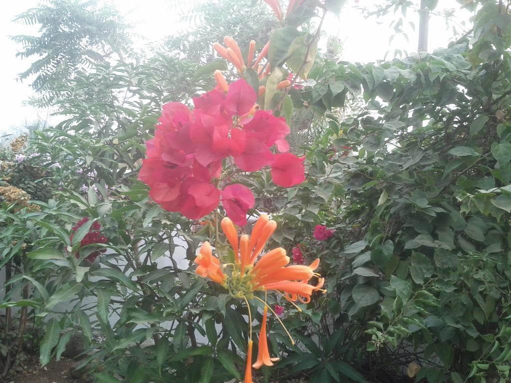 Jheelam Homestay Bhopal Exteriör bild