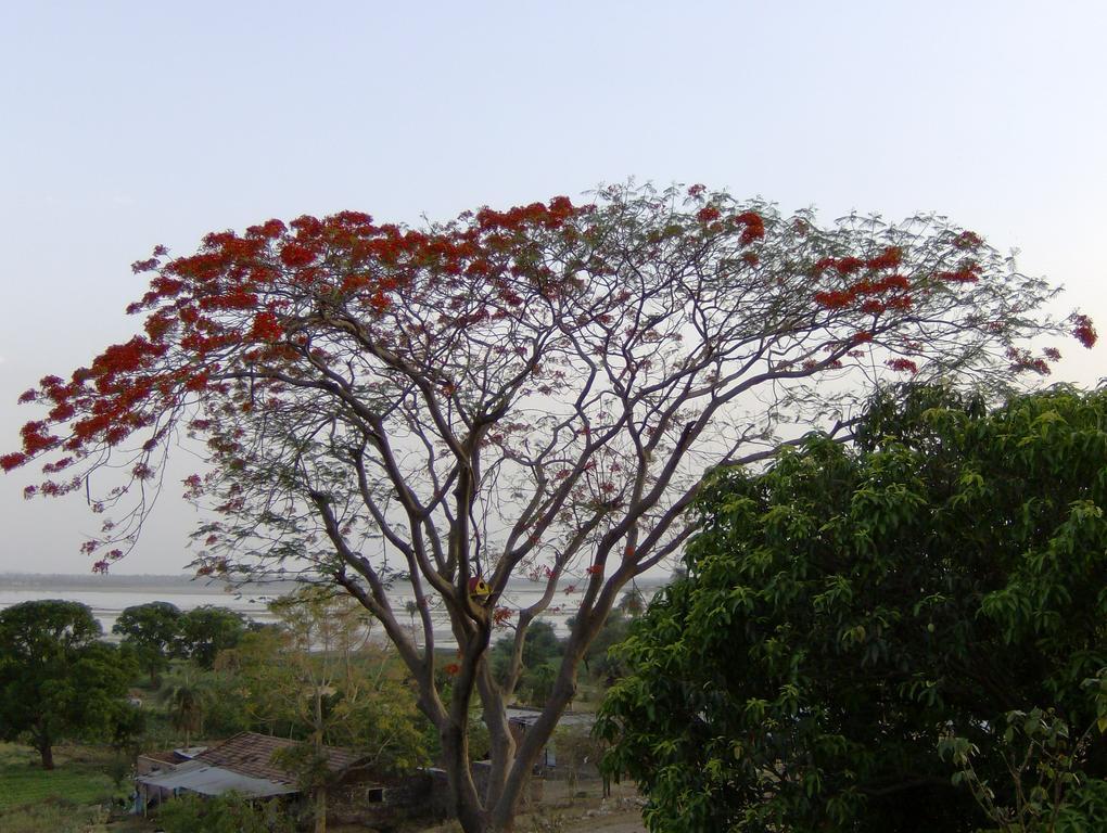 Jheelam Homestay Bhopal Exteriör bild