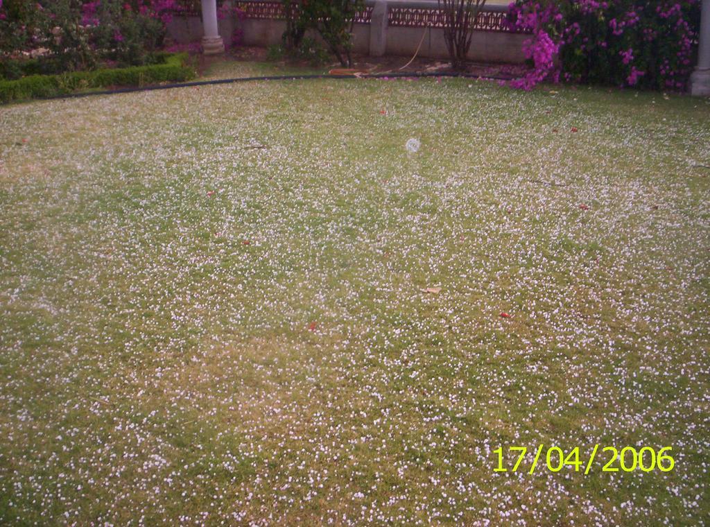 Jheelam Homestay Bhopal Exteriör bild