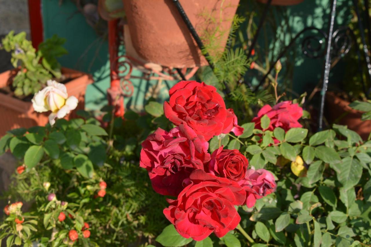 Jheelam Homestay Bhopal Exteriör bild